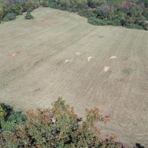 Photo #2 of DUNKARD CHURCH RD, RIXEYVILLE, VA 5.0 acres
