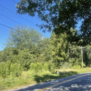 Photo #1 of GOLD DALE RD, LOCUST GROVE, VA 10.0 acres