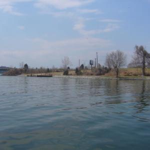 IMAGE8