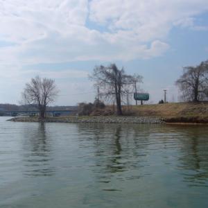 IMAGE10
