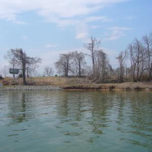 IMAGE9