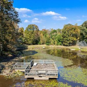 Photo #3 of 28282 RACCOON FORD RD, BURR HILL, VA 70.2 acres