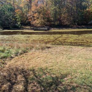 Photo #26 of 28282 RACCOON FORD RD, BURR HILL, VA 70.2 acres