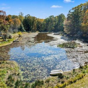 Photo #2 of 28282 RACCOON FORD RD, BURR HILL, VA 70.2 acres