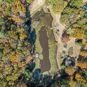 Photo #4 of 28282 RACCOON FORD RD, BURR HILL, VA 70.2 acres