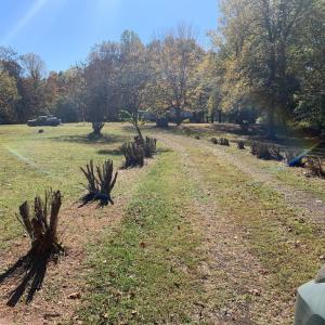 Photo #16 of 28282 RACCOON FORD RD, BURR HILL, VA 70.2 acres