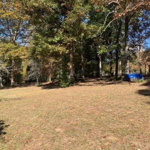 Photo #28 of 28282 RACCOON FORD RD, BURR HILL, VA 70.2 acres