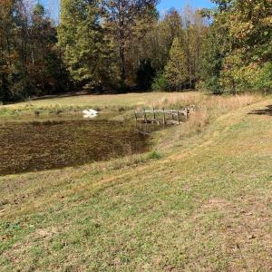 Photo #30 of 28282 RACCOON FORD RD, BURR HILL, VA 70.2 acres