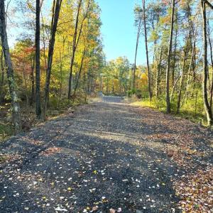 Photo #1 of 16120 BRANDY RD, CULPEPER, VA 3.0 acres