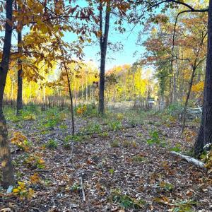 Photo #4 of 16120 BRANDY RD, CULPEPER, VA 3.0 acres
