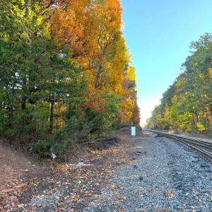 Photo #5 of 16120 BRANDY RD, CULPEPER, VA 3.0 acres