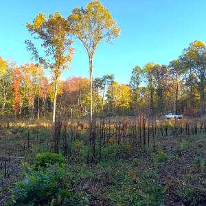 Photo #6 of 16120 BRANDY RD, CULPEPER, VA 3.0 acres