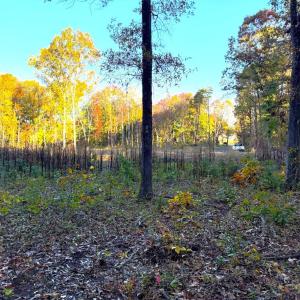 Photo #8 of 16120 BRANDY RD, CULPEPER, VA 3.0 acres