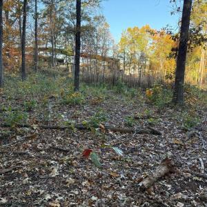 Photo #9 of 16120 BRANDY RD, CULPEPER, VA 3.0 acres