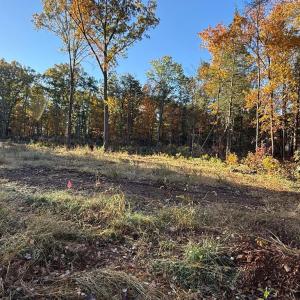 Photo #10 of 16120 BRANDY RD, CULPEPER, VA 3.0 acres