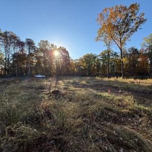 Photo #11 of 16120 BRANDY RD, CULPEPER, VA 3.0 acres