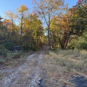 Photo #12 of 16120 BRANDY RD, CULPEPER, VA 3.0 acres