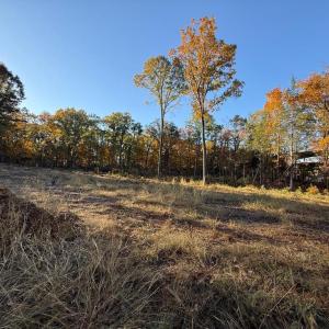 Photo #15 of 16120 BRANDY RD, CULPEPER, VA 3.0 acres