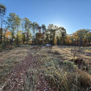 Photo #20 of 16120 BRANDY RD, CULPEPER, VA 3.0 acres