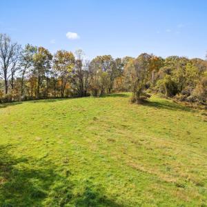 Photo #9 of MORELAND ROAD, DELAPLANE, VA 10.2 acres