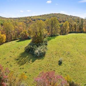 Photo #10 of MORELAND ROAD, DELAPLANE, VA 10.2 acres