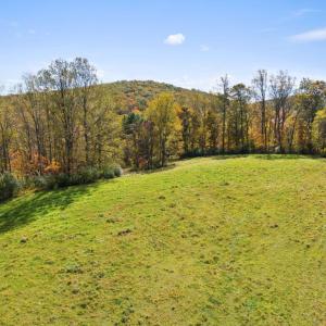 Photo #17 of MORELAND ROAD, DELAPLANE, VA 10.2 acres
