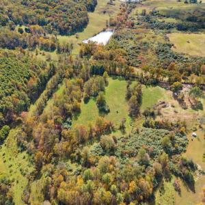Photo #21 of MORELAND ROAD, DELAPLANE, VA 10.2 acres