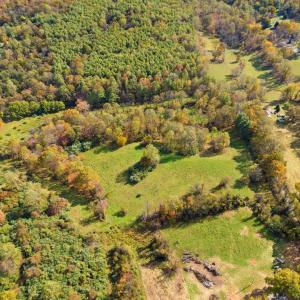 Photo #23 of MORELAND ROAD, DELAPLANE, VA 10.2 acres