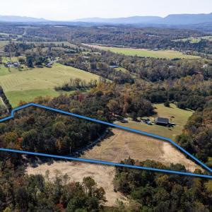 Photo #4 of YOUNG RD, RILEYVILLE, VA 8.6 acres