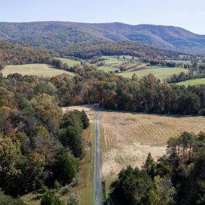 Photo #16 of YOUNG RD, RILEYVILLE, VA 8.6 acres