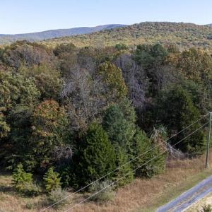 Photo #15 of YOUNG RD, RILEYVILLE, VA 8.6 acres