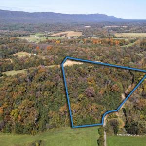 Photo #3 of YOUNG RD, RILEYVILLE, VA 8.6 acres