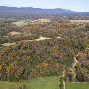 Photo #5 of YOUNG RD, RILEYVILLE, VA 8.6 acres