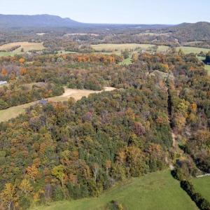 Photo #5 of YOUNG RD, RILEYVILLE, VA 7.9 acres