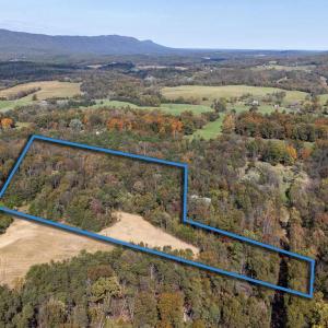 Photo #2 of YOUNG RD, RILEYVILLE, VA 7.9 acres