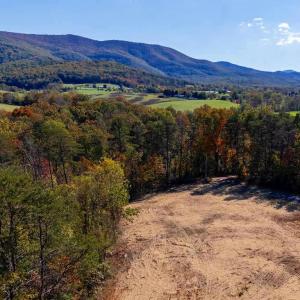 Photo #17 of YOUNG RD, RILEYVILLE, VA 7.9 acres