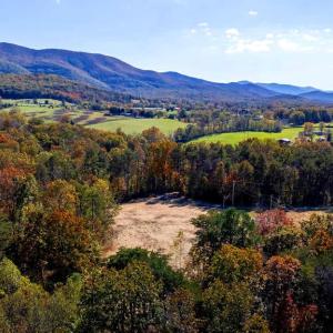 Photo #18 of YOUNG RD, RILEYVILLE, VA 7.9 acres