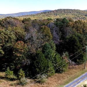 Photo #20 of YOUNG RD, RILEYVILLE, VA 7.9 acres