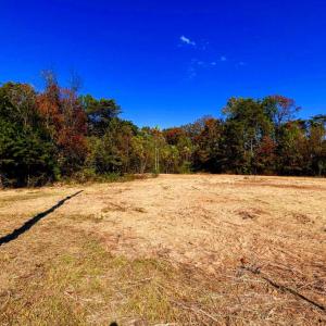 Photo #16 of YOUNG RD, RILEYVILLE, VA 7.9 acres