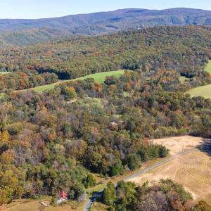 Photo #14 of YOUNG RD, RILEYVILLE, VA 7.9 acres
