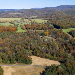 Photo #13 of YOUNG RD, RILEYVILLE, VA 7.9 acres