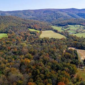 Photo #9 of YOUNG RD, RILEYVILLE, VA 7.9 acres