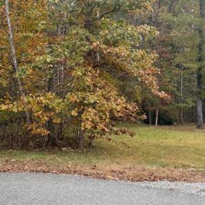 Photo #3 of 10150 RAINBOW LN, SPOTSYLVANIA, VA 5.1 acres