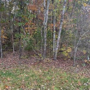 Photo #4 of 10150 RAINBOW LN, SPOTSYLVANIA, VA 5.1 acres