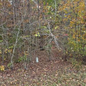 Photo #5 of 10150 RAINBOW LN, SPOTSYLVANIA, VA 5.1 acres