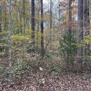 Photo #1 of 8105 WADE ST, PARTLOW, VA 9.3 acres