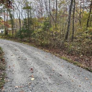 Photo #2 of 8105 WADE ST, PARTLOW, VA 9.3 acres