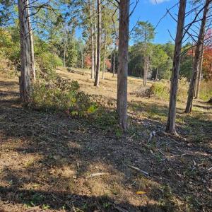 Photo #19 of HILL CLIMB RD., STANLEY, VA 1.7 acres