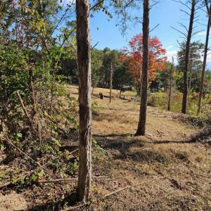 Photo #20 of HILL CLIMB RD., STANLEY, VA 1.7 acres