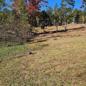 Photo #23 of HILL CLIMB RD., STANLEY, VA 1.7 acres